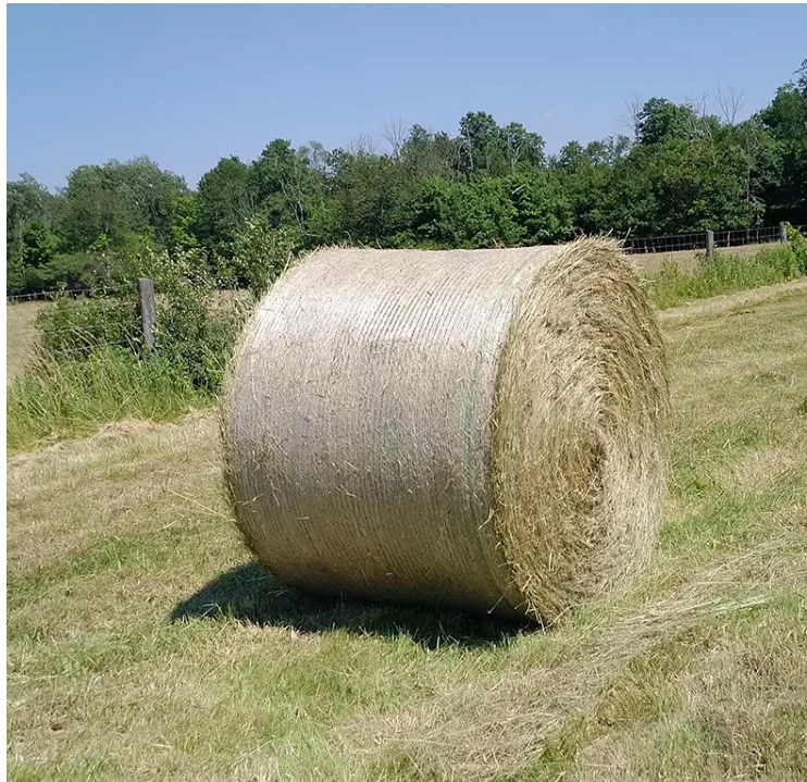 HDPE Высококачественная лошадиная кормовая круглая сетка в рулонах сеть для упаковки сена сельского хозяйства