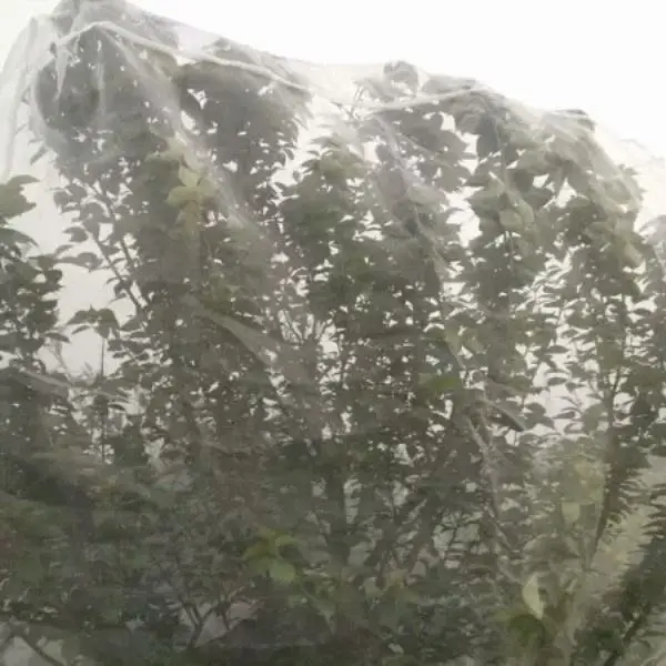 Stabilized anti hail bird net plastic protect netting frost hail round mesh net fruit net protection