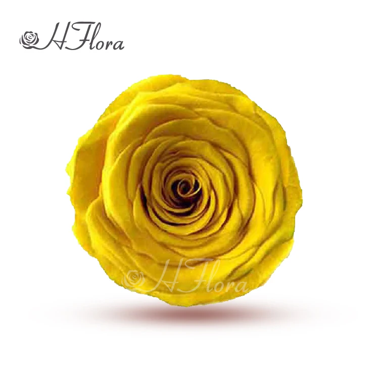 Цветочные Цветы HFlora оптовая продажа Заводская поставка 6-7 см необычный цвет сохраненные розы Цветочный декор для свадьбы
