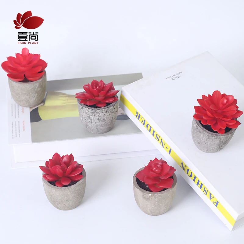 Artificial Succulent Plants Assorted Decorative Faux Succulent Potted Fake Cactus Cacti Plants with Gray Pots Set of 5 ES0345-1