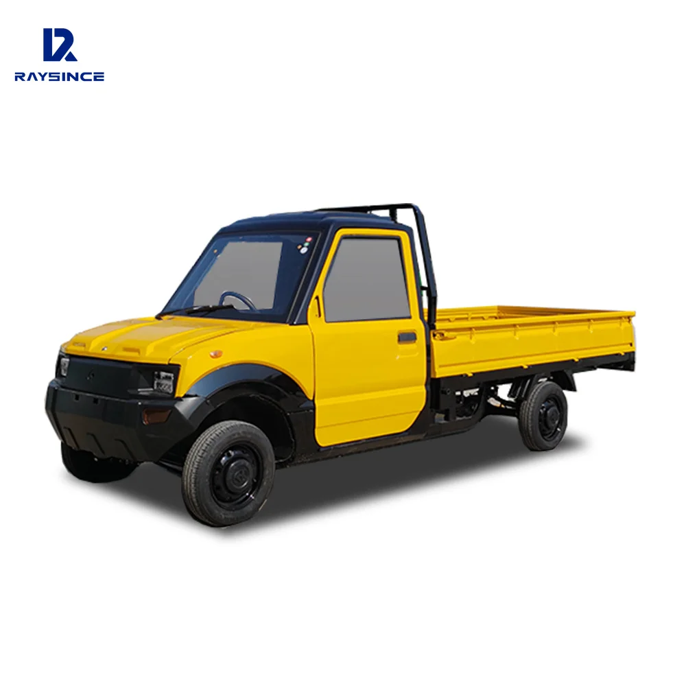 Raysince Pickup Car latest model Electric pickup truck with cargo box