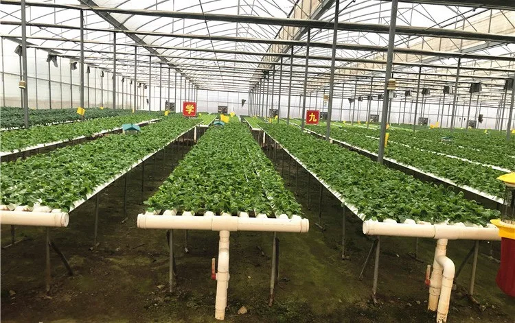  Китайские продукты мощная система гидропоники сельскохозяйственная посадка миниатюрная теплица nft