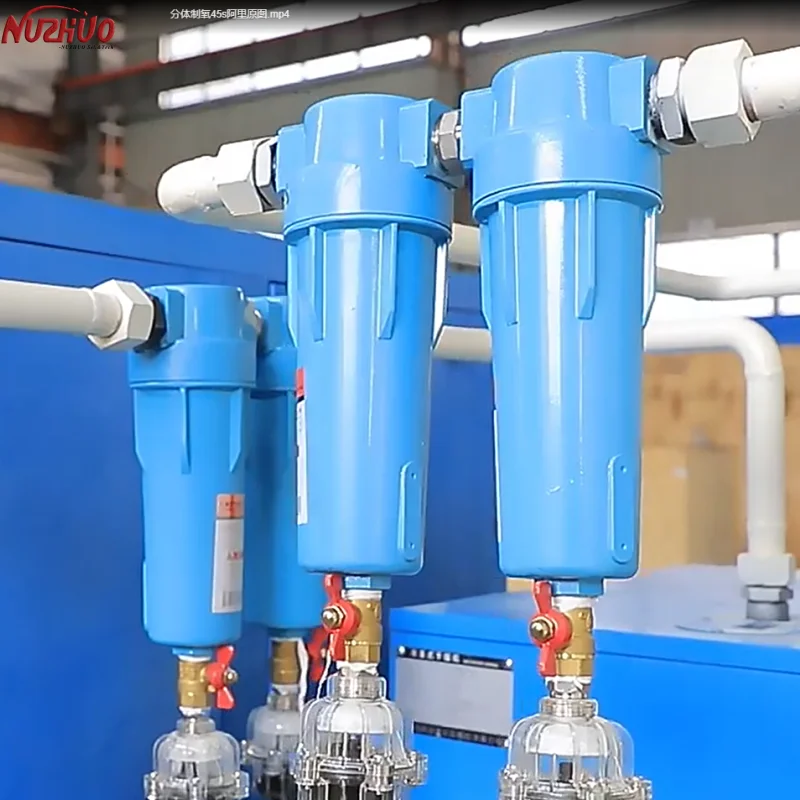 NUZHUO Faddish In Middle East Pure Nitrogen Refill Station 99.999% Food Grade Smart N2 Production Line