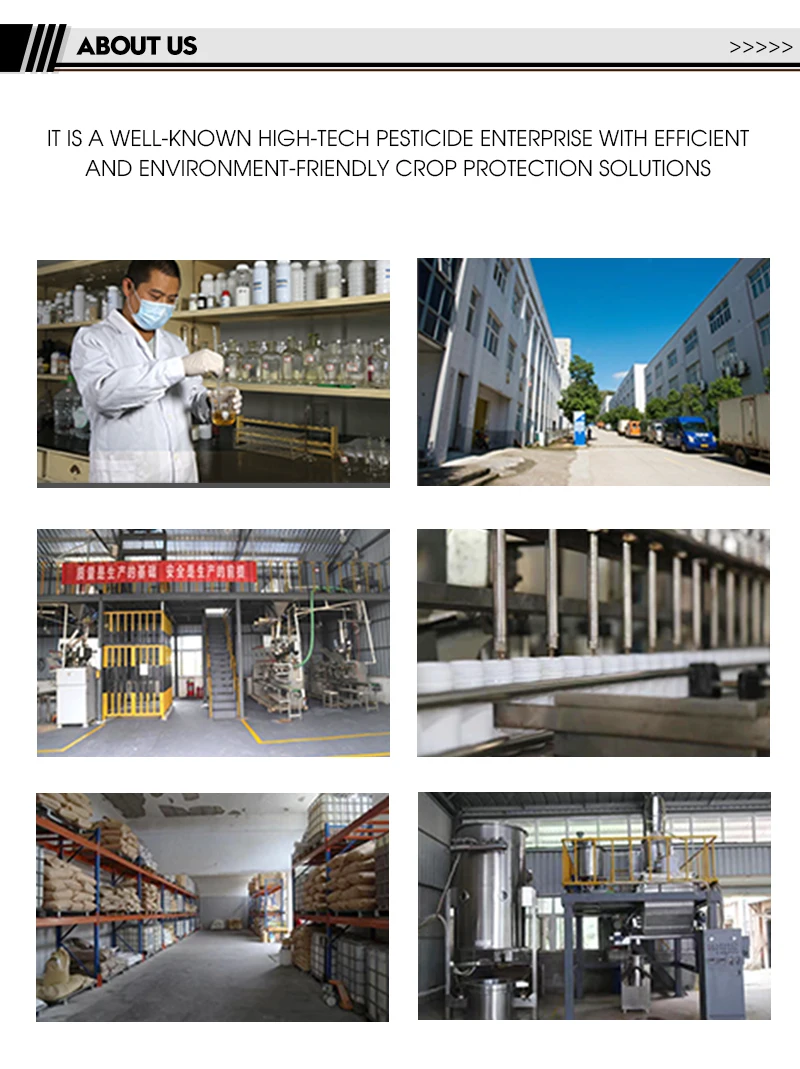 47% Kasugamycin King Copper WP Bacterial Disease Downy Mildew Agricultural Pesticide Fungicide