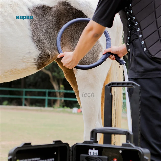 Kaphatech New Inventions For Horse PMST Loop Pemf Magnetic Therapy Device Horse Ankle Rehabilitation Equipment
