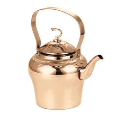 Luxurious Stainless Steel Cooking Tea Kettle Teapot for Stove Top with Ergonomic Handle for Gas Induction