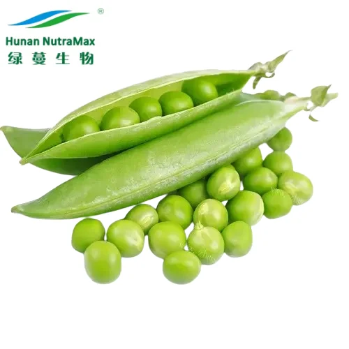 Порошковый экстракт Pisum Sativum порошок белкового гороха