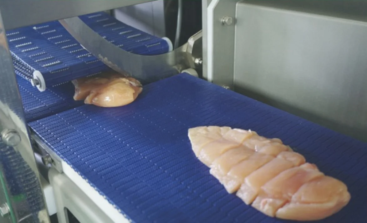 meat portion cutter machine for chicken meat and fish CUT28