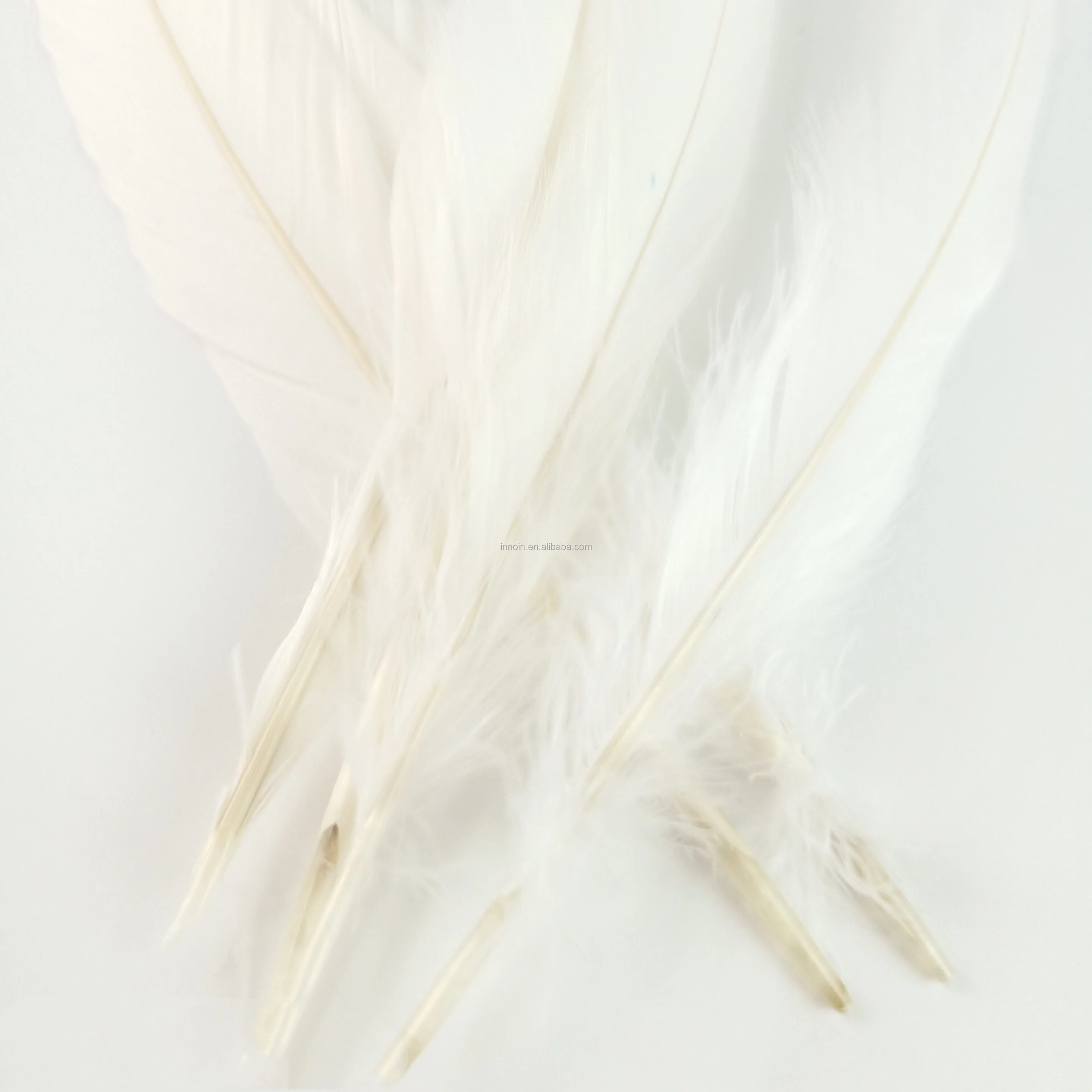 
Cheap 40-45cm DIY Custom White Color Rooster Feather For Decoration 