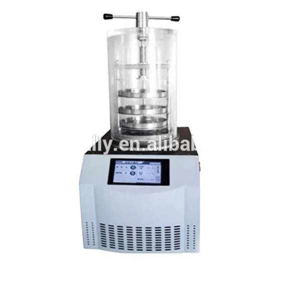 Comprehensive Stainless Steel Freezer Dryer with Vacuum Chamber Lab Lyophilizer