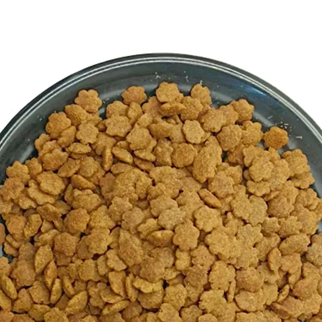 Chinese Factory Major in Scientific Formula Search Staple Pet Food OEM ODM Latest Quality Warranty Dry Food Cat