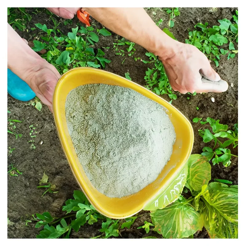 ORGANIC FERTILIZER WATER SOLUBLE AMINO ACID POWDER FERTILIZER