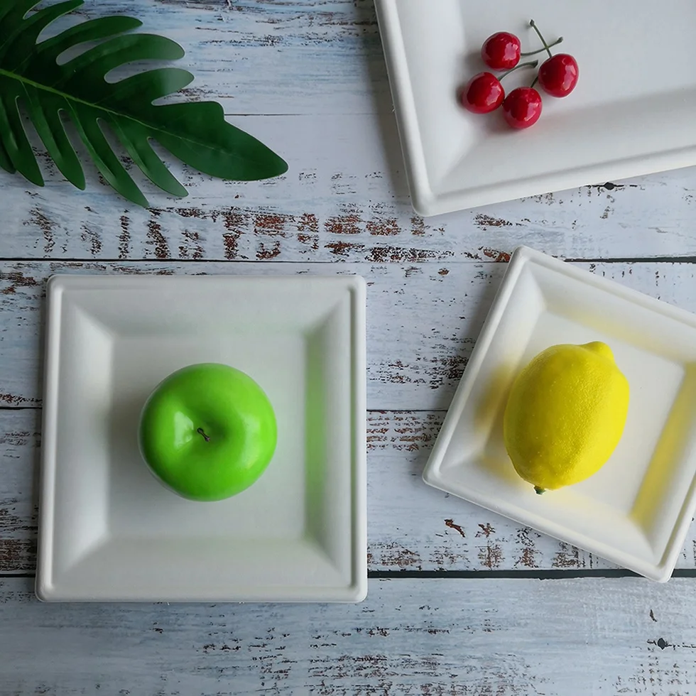 Disposable Paper Square Plates Biodegradable Square Dinner Plates White 10 Inch 6 Inch 8Inch Square Plate Bagasses Paper Pulp