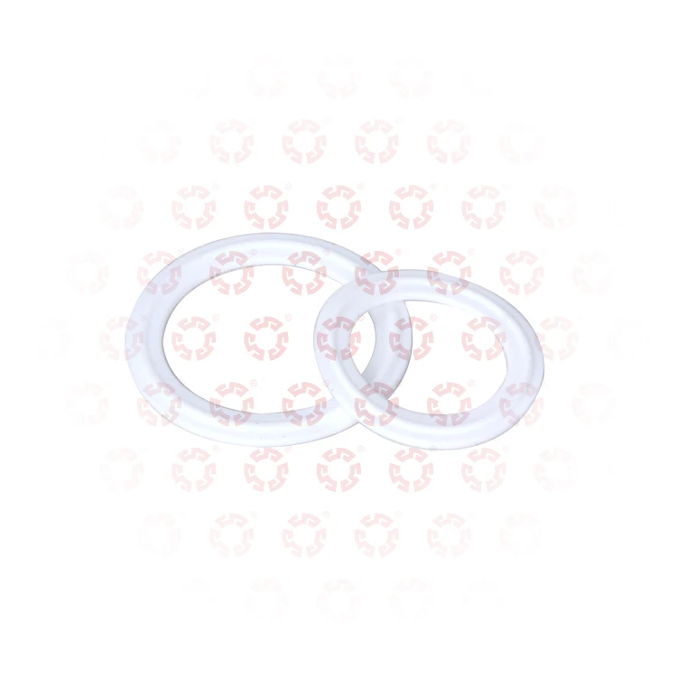 Popular Promotional Sealing Different Specifications O Ring Rubber Seal White Silicone Seal Gasket Sanitary Clamp Gasket