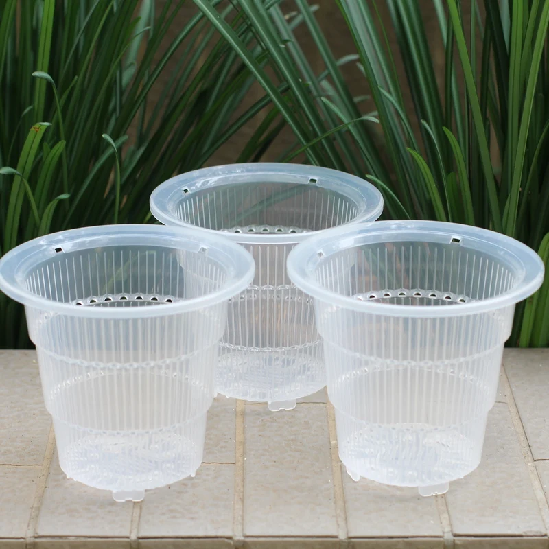 mini clear plastic orchid pot cattleya hybrida planter in 4 inch