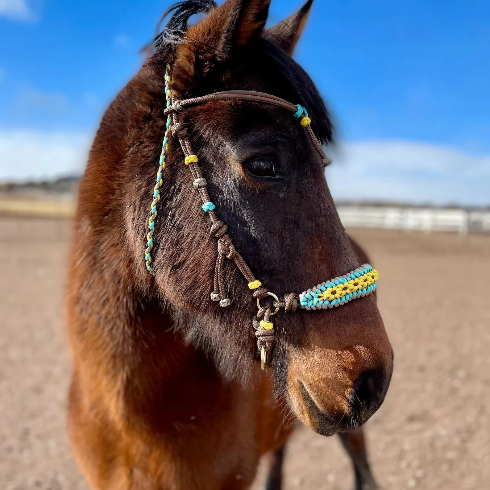 Custom fringe paracord horse tack Fringe breast collar set tie down set barrel reins for small pony Cob horse burgundy tack
