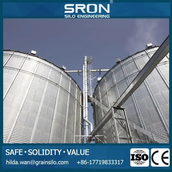 Customized 1000kg Silo for Corn Wheat Soybean Flour Storage