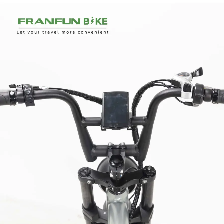 Two wheels on suspension Harle fat tire commuting electric bicycle for 2 adults