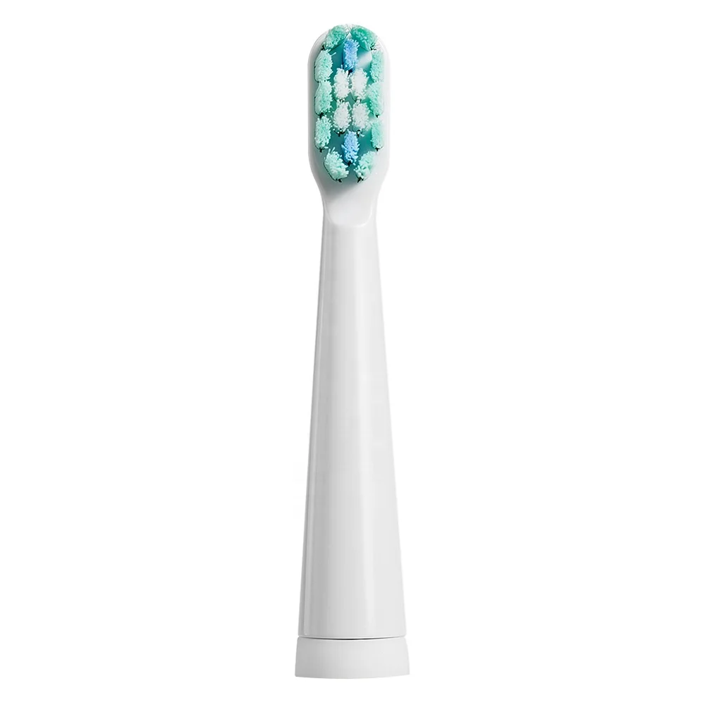 HPT4 Free Sample Rounded Top DuPont Tynex Nylon Soft Bristle Replaceable Replacement Electric Toothbrush Brush Head
