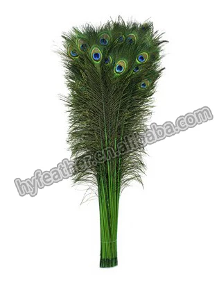 30-35in Wholesale Artificial Handmade Dyed Feather inch Sale Craft Dyed colored Natural colored peacock feathers For Decoration