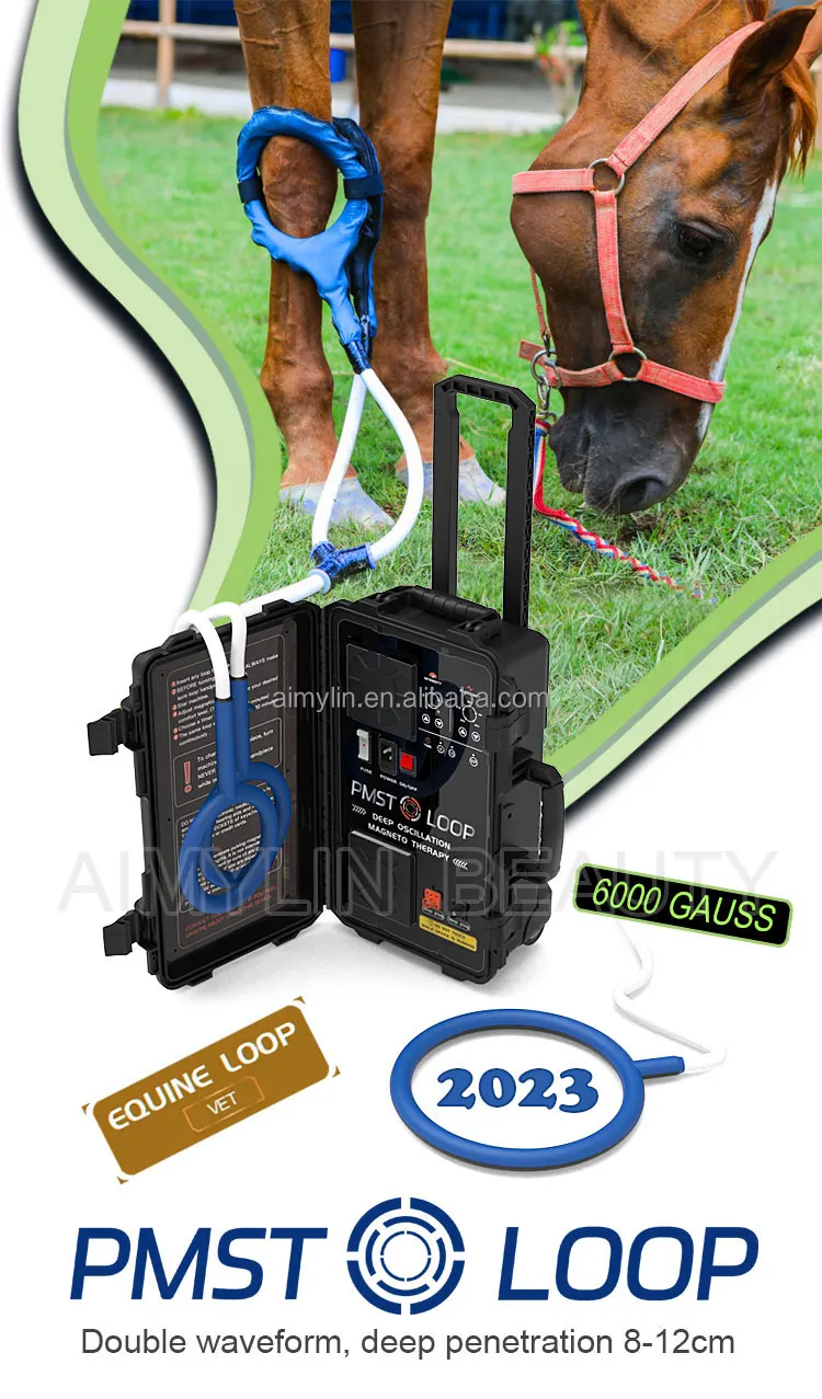 bio magnetic therapy mat pemf magnetic therapy device mat magnetic therapy for pain