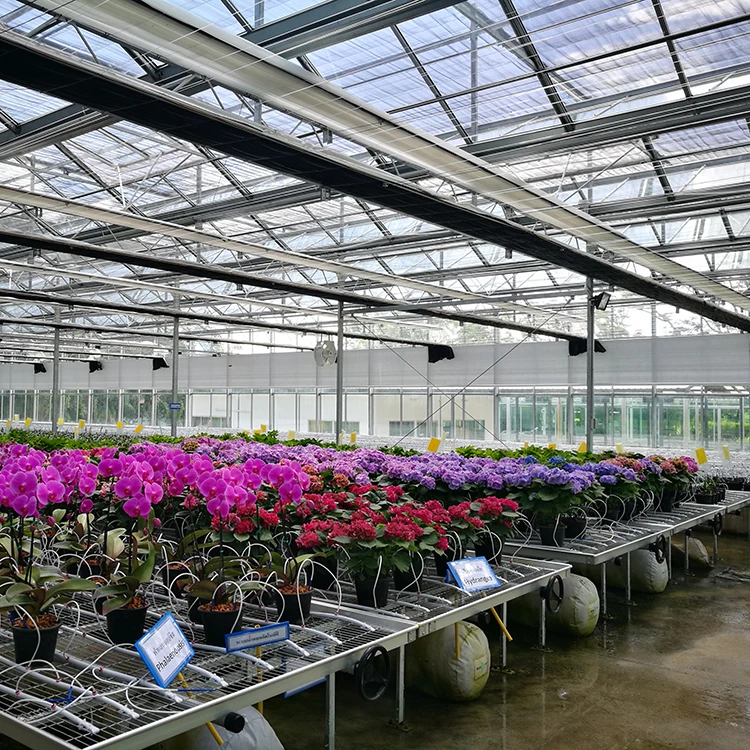 Agriculture Greenhouse Seed Rolling Bench Rolling Bed