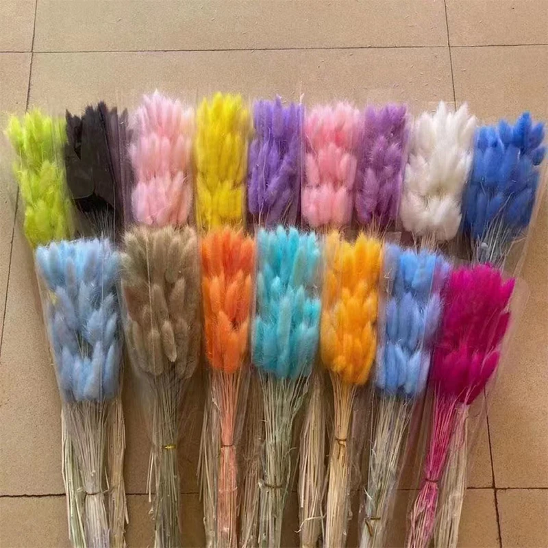 Dried Bunny Tails Natural Lagurus Ovatus Lamb Tails Home Wedding Decor Pampas Grass Dry Flowers Bunny Tails Grass