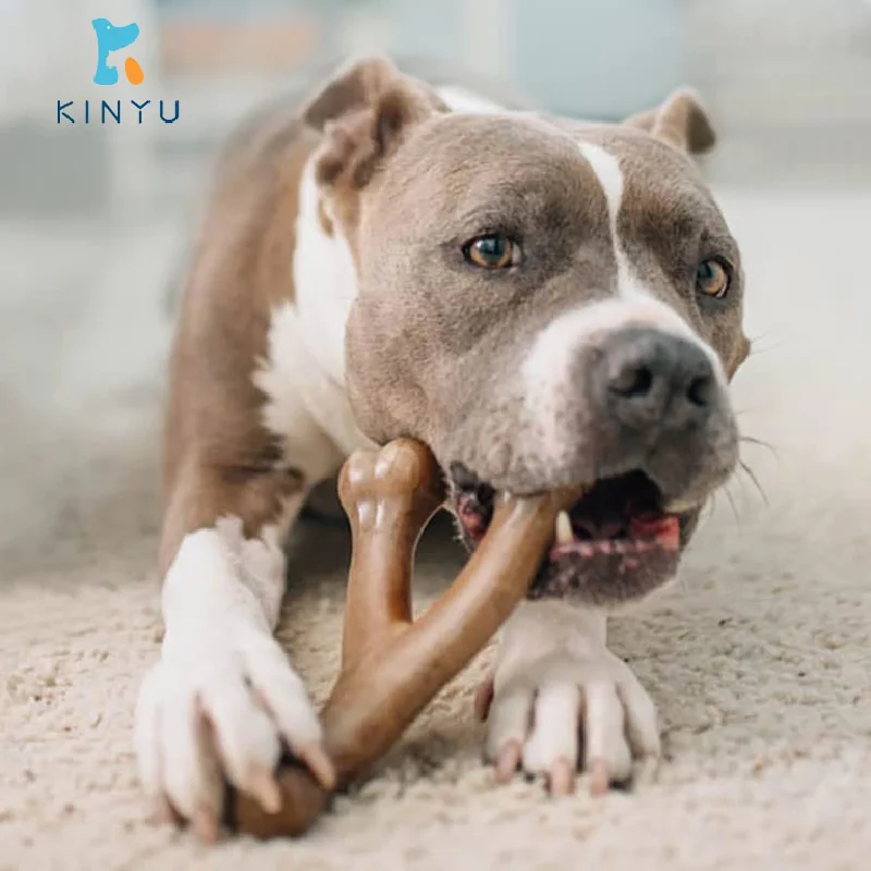 Original Factory US Benebone wishbone durable dog chew toy for aggressive chewers large breed bacon flavor tough nylon dog toys