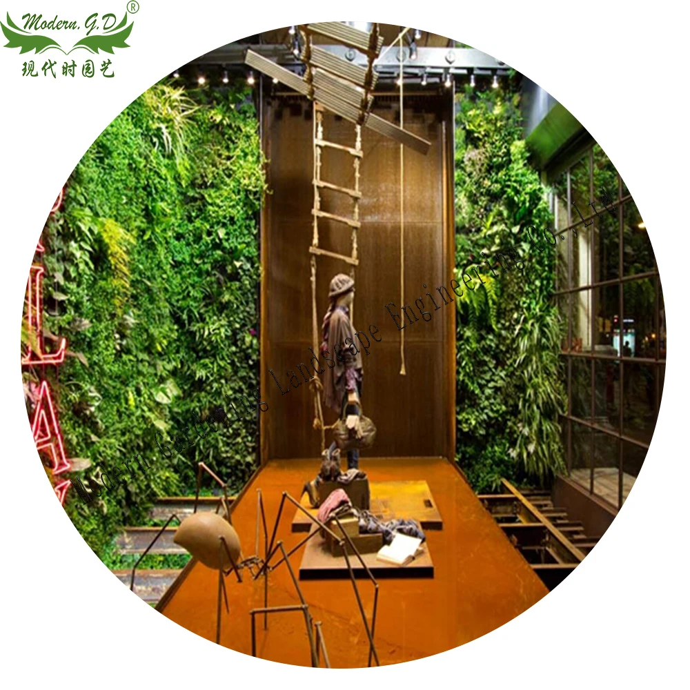 Vertical green planter wall garden pot air plants frame  tillandsia wall  display succulent stand flower