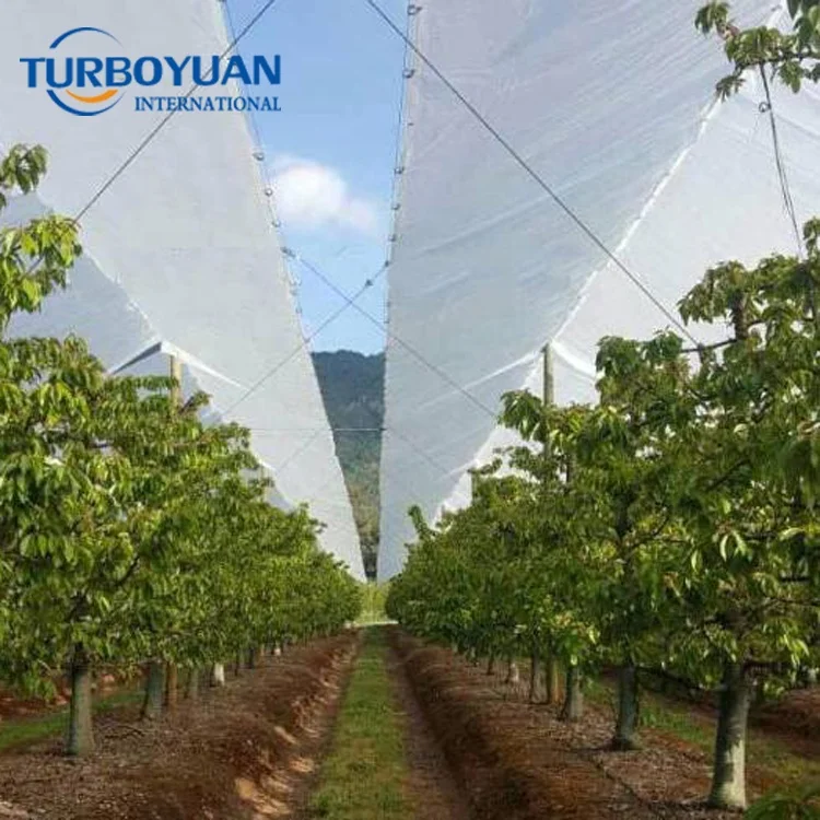 Agricultural greenhouse cover reinforced plastic woven film / clear polyweave rain covers for cherry tree