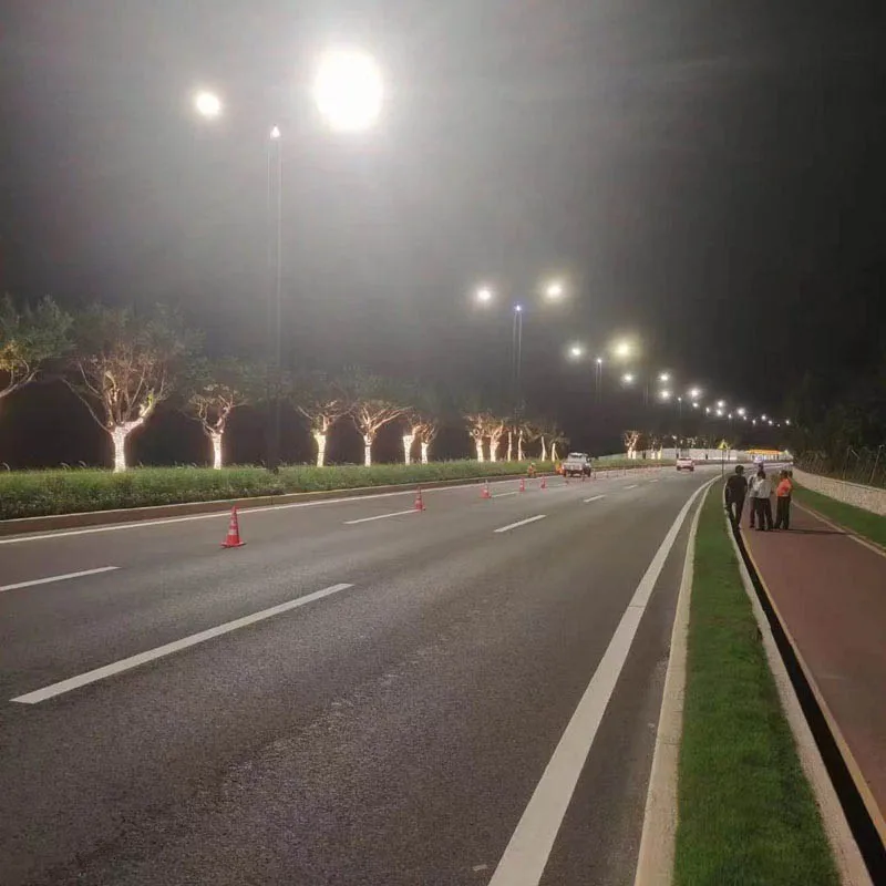 Lighting Asset Management Software supports Remotely and Securely control the Connected street lighting-Connected Streetlights