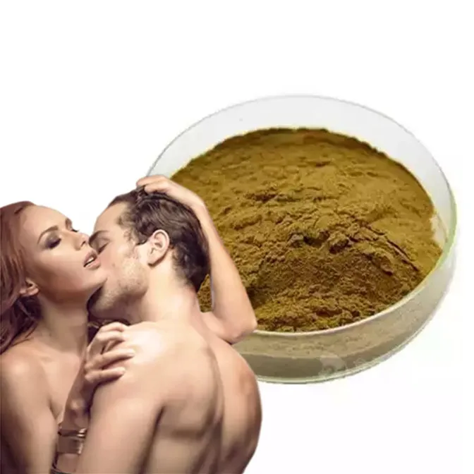 Best price tongkat ali powder Tongkat Ali extract Tongkat Ali extract Powder