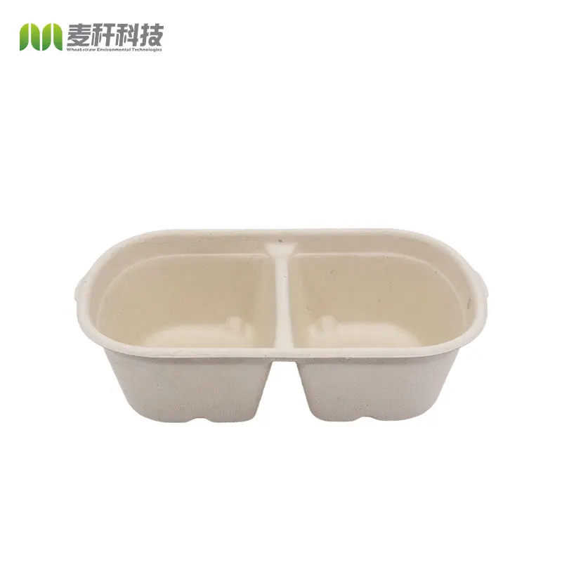 Disposable Biodegradable sugarcane bagasse pulp food container take away Lunch Box with lid