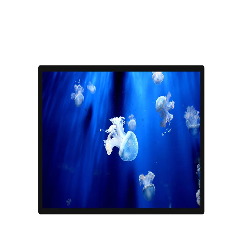 55-Inch Wall Mount Android 1920*1080 2K/3840*2160 4K LCD Digital Signage Player Advertising Display Screen Video Media Player
