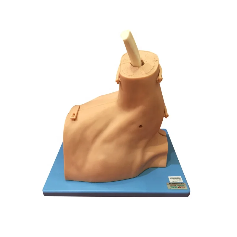 GD/LV77 General Doctor Advanced Shoulder Arthroscopy Model skill trainer