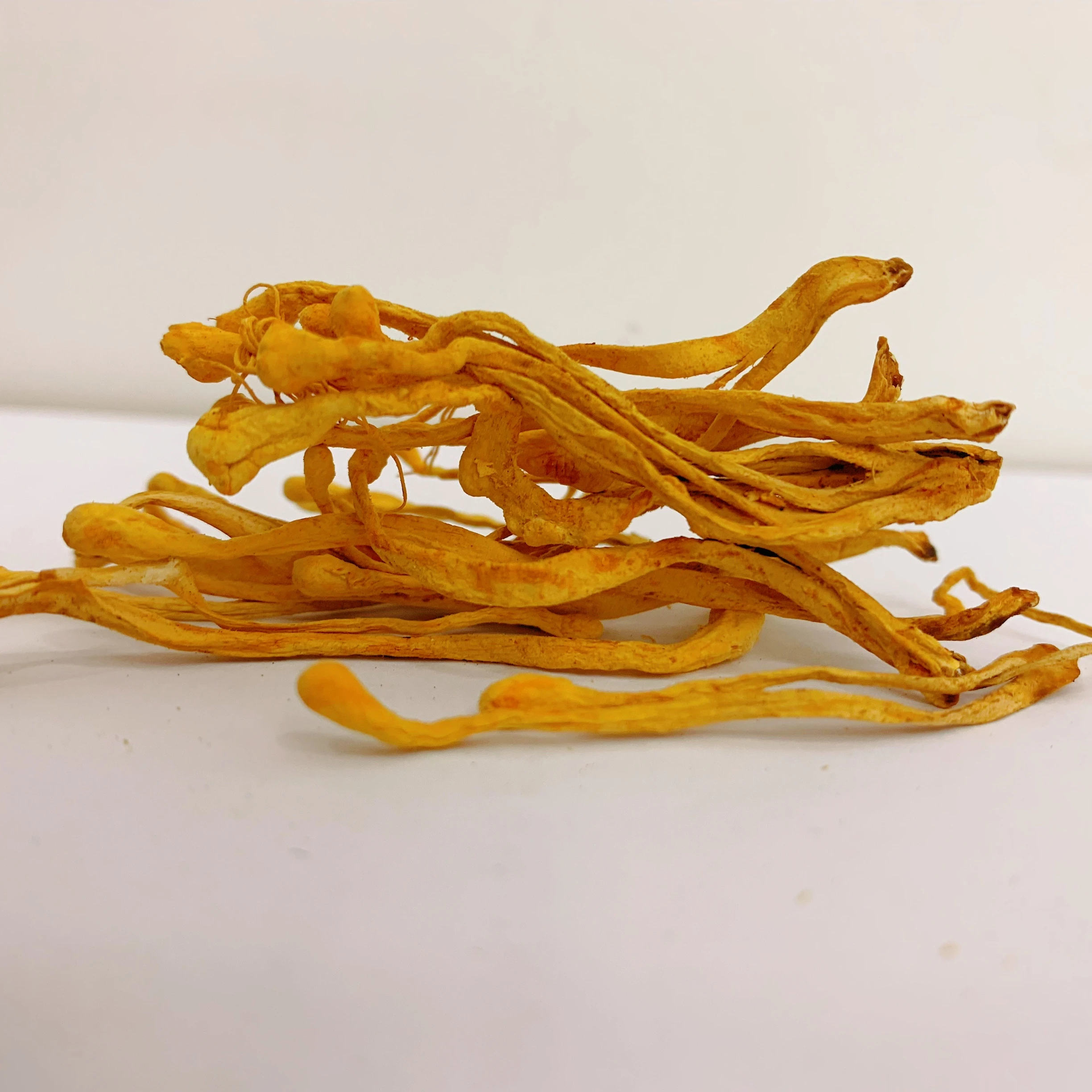 Поставка с завода органический порошок Кордицепса