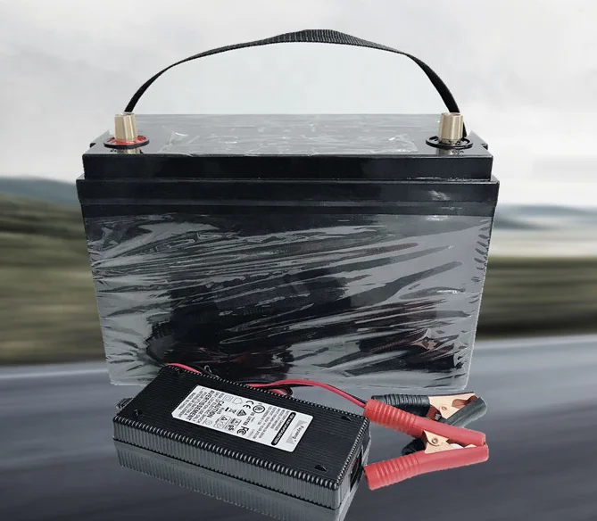 12v 24v 100ah 200ah lifepo4 lithium ion Storage Batteries