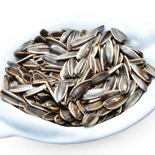 bulk cheap  sunflower seed in shell