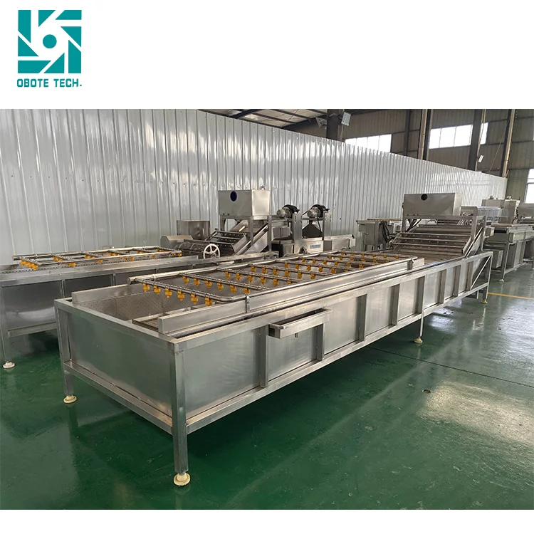 stainless steel meat washer mini carrot washing machine