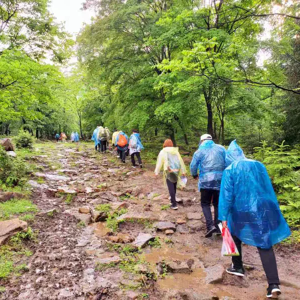 Rain Coats for Adults Reusable EVA Rain Ponchos Rain Jackets Raincoats for Men Women