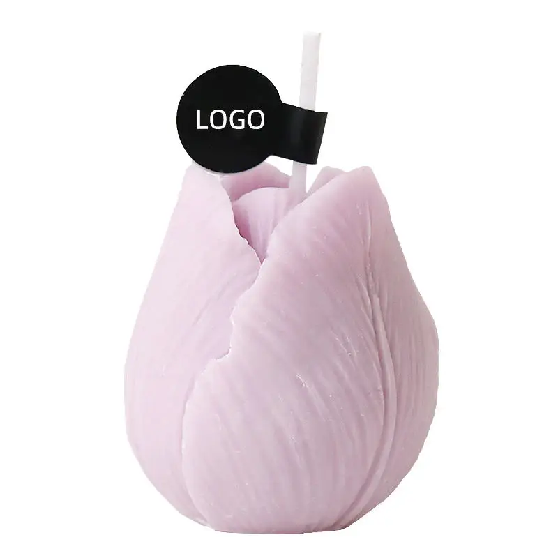 DGC Cute handmade aromatherapy candle succulent small plant shape scented candle gift set candle craft