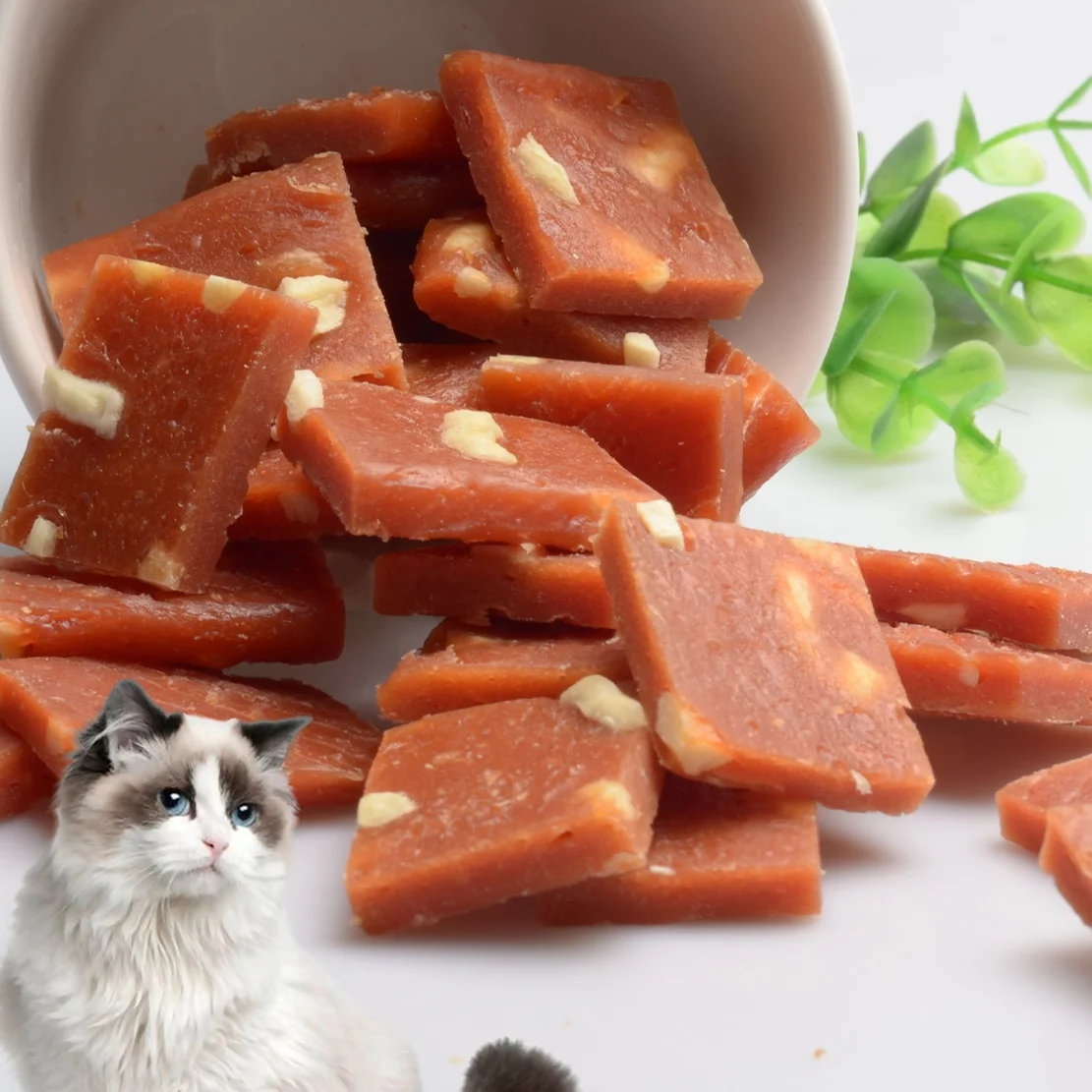 Factory Direct cat snack Salmon cat snack wholesale price training incentives salmon cube