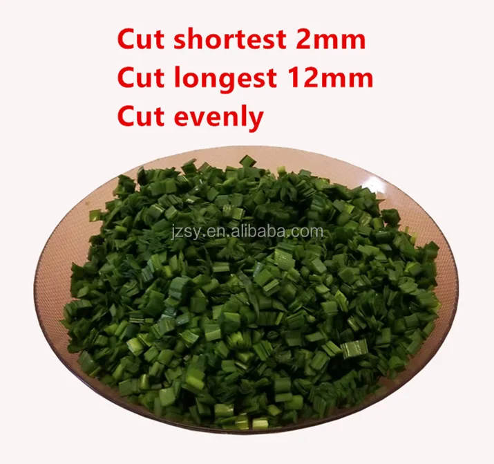Household multifunction automatic conveying manual chinese chives cutting machine/small commercial hand garlic bolt fruit cutter