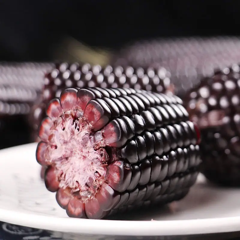 China factory sweet corn manufacturer fresh purple corn