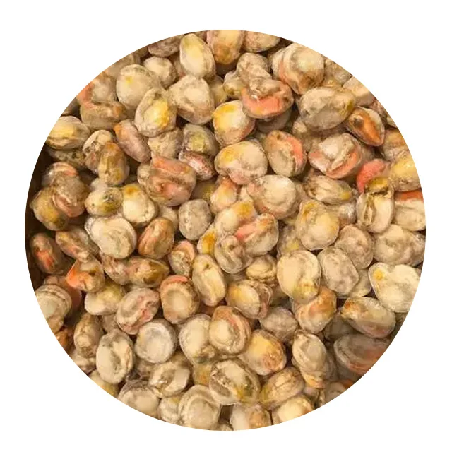 New Season Frozen Quality Frozen Scallop Meat