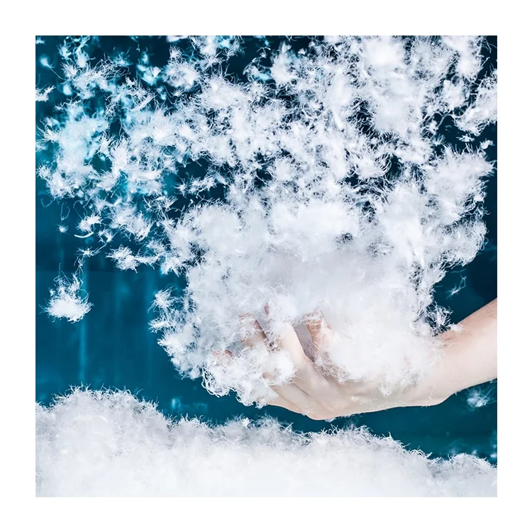 2021 Practical Hot Selling 90% Goose Down Coat Windproof Jacket Filling Material Fill Pure White Goose Down