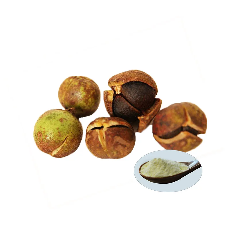 Delore  Tea saponin Tea Seed Extract/Camellia Oleifera Seed Extract