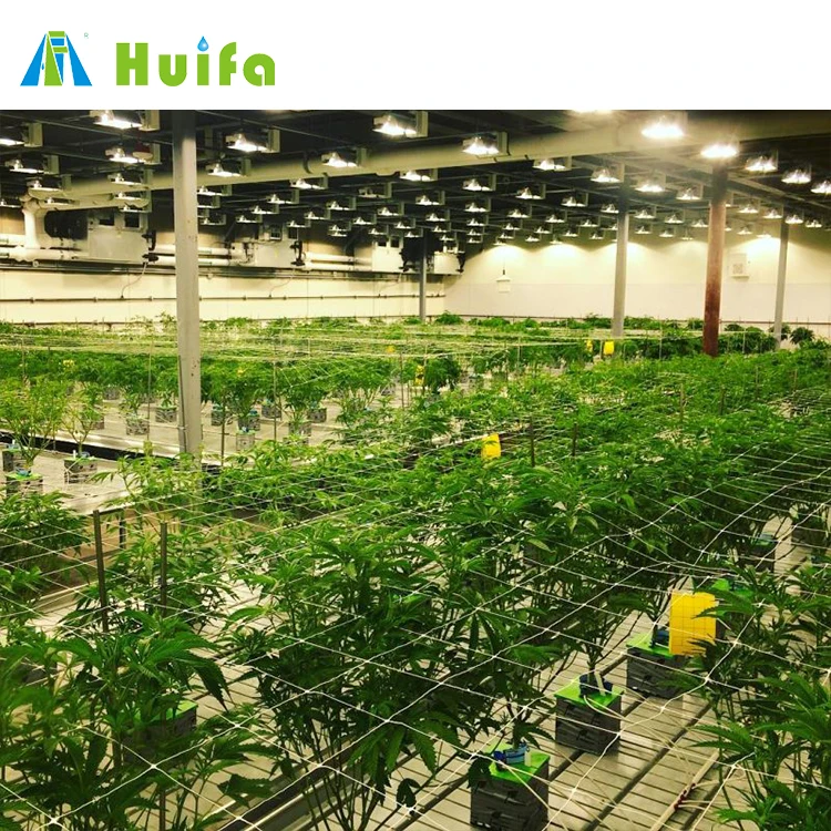 Seedbed Bench System Flood Growing Racks 4ftx8ft Grow Trays With Stand