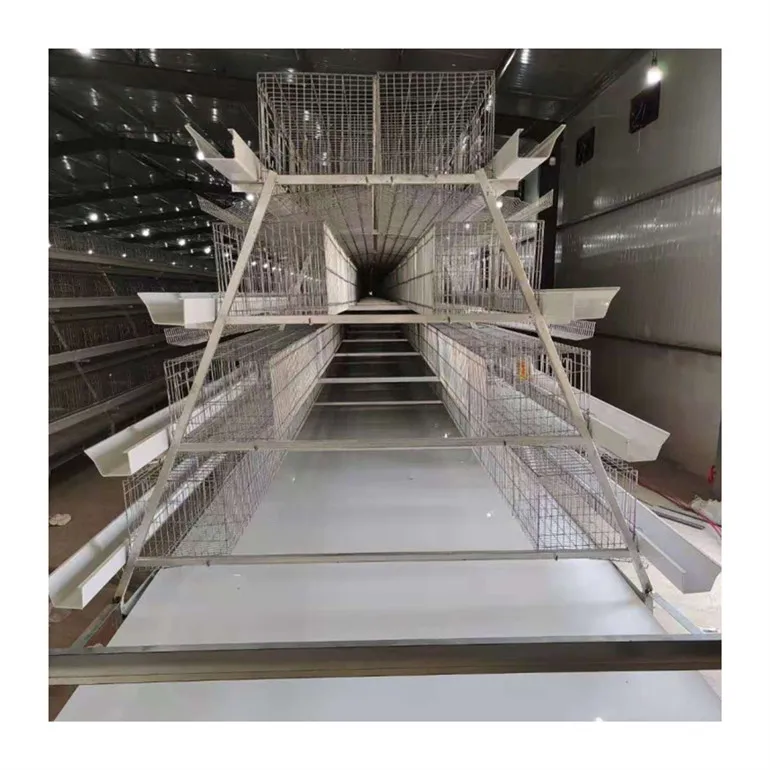 
Клетка для яиц птицефермы типа А, автоматическая система удаления навоза, клетка для разведения 