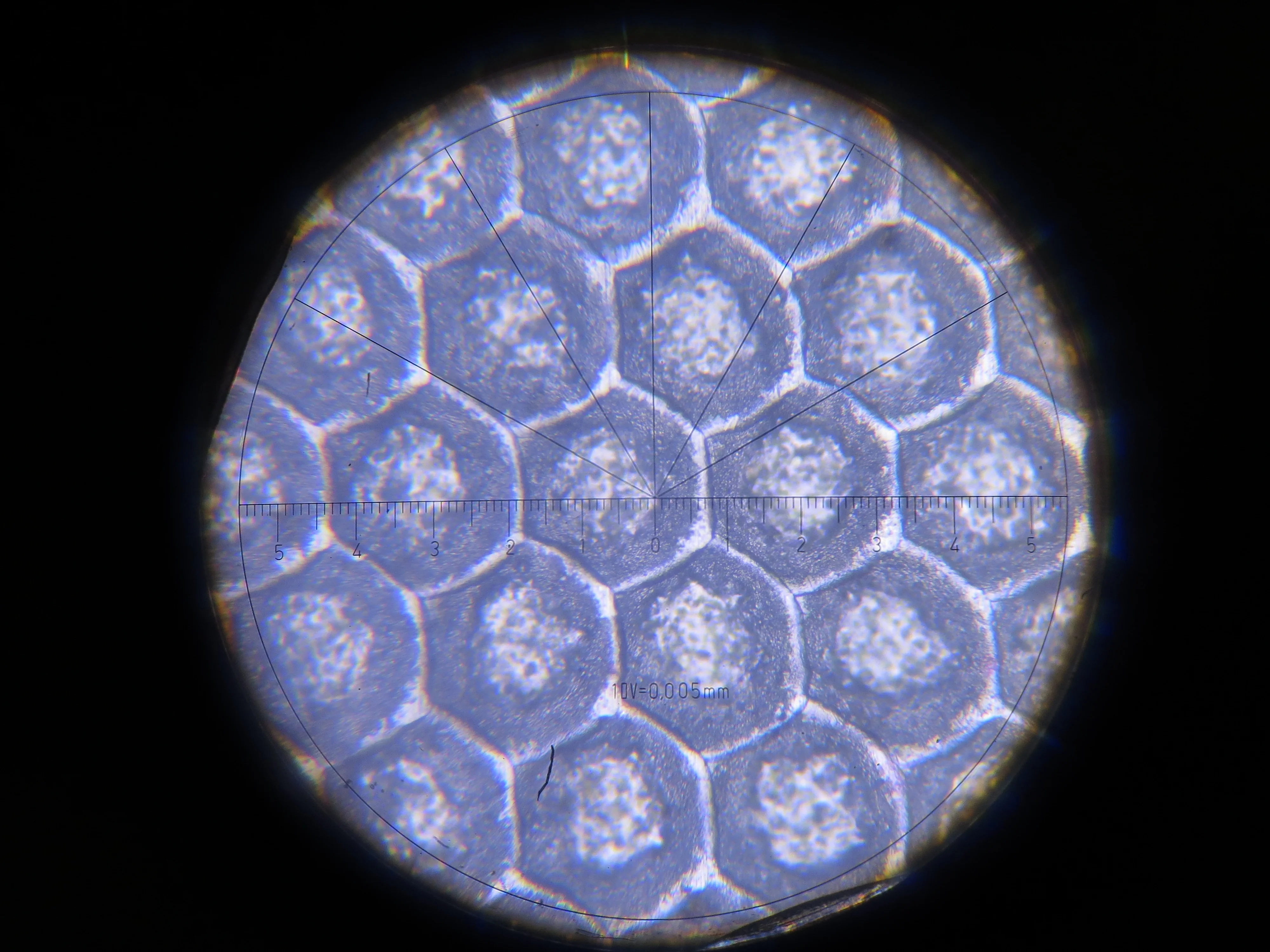 Профессиональный керамический ролик anilox для любой печатной машины